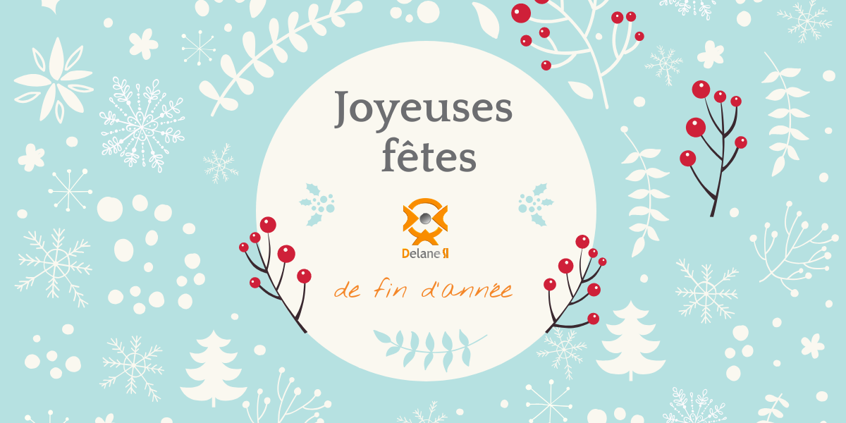 Joyeuses Fetes Avec Delane Si Delane Si Societe De Conseil Et De Services Informatiques A Taille Humaine