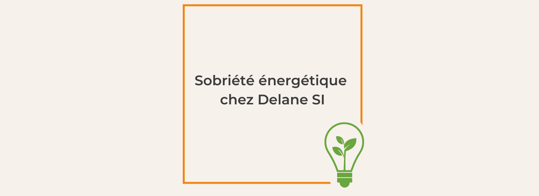 Sobriété énergétique : engageons-nous pour un avenir durable chez Delane SI